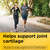 Nature Made Glucosamine Chondroitin Complex with MSM, 120 Caplets