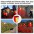 Qualirey 4 Pcs Solar Motion Alarm 129db Barking Dog Gunshot Strobe Light