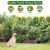 5 Panel No Dig Decorative Garden Fence 24" H x 10'L Outdoor Dog Barrier