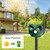 Solar Animal Deterrent Outdoor 2 Pack, Ultrasonic Motion Activated Repeller with LED Strobe, Waterproof for Unwanted Animals - Protect Garden Yard Lawn from Cats Squirrels Deer Raccoons Skunks