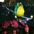 Afirst Solar Lights Outdoor Decorative, Hand Blown Glass Frog Yard Stake