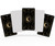 Blank Oracle Tarot Cards to Write On - Create Your Own Oracle Card Deck - (80 Cards per Box / 2.75" x 4.75") - Blank White with Design on Back (Black with Metallic Gold Foil Moon Design)