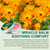 Miracle MaxTherapy Balm, Soothing Joint & Leg Care Cream for Swollen Legs, Relieves Muscle Discomfort in Back, Hands, Feet & Body, Formulated with Natural Ingredients, Gentle for All Skin Types