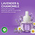 Air Wick Plug In Refills, Lavender & Chamomile, Essential Oils,10 count