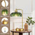AHDWDW Gold Table Lamp for Living Room Bedroom Set of 2,Stepless Dimmable Bedside Lamps with Green Glass Shade,Industrial Nightstand Lamps for Office Home Decor(Bulb Included)