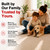 TECH Stain Remover Gallon, 128oz - Cleaner for Carpet, Upholstery, Laundry