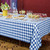 Kochorie 54 Inch x 300 Ft Blue Checkered Plastic Table Cloth Roll Disposable Waterproof Table Cover Plastic Table Cover Roll with Easy Slide Cutter for Outdoor Picnic/Home Dining/Spring Party