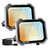 Leddictive 2 Pack 100W LED Flood Lights Outdoor, 3CCT Outside Work Light
