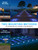 VOLISUN Solar Driveway & Deck Lights 12 Pack Dock Marine Ground LED Lights