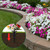 NODMIPNS 12 Pack Floral Ground Spikes, 5.5 Inch Artificial Flower Holder Stakes with 0.6" Universal Hole, Weather Resistant Cemetery Flower Stakes for Grave, Garden, Patio, Window Box Decor (12)