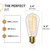 Hudson Bulb Co. Vintage Incandescent Edison Light Bulbs, 60W, E26/E27 Base, 2100K Dimmable Decorative Lights, ST58 Style Warm Glow, Antique Spiral Filament for Outdoor and Indoor Use - 6 Pack