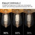 Hudson Bulb Co. Vintage Incandescent Edison Light Bulbs, 60W, E26/E27 Base, 2100K Dimmable Decorative Lights, ST58 Style Warm Glow, Antique Spiral Filament for Outdoor and Indoor Use - 6 Pack
