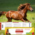 Horse Paste 1.87% – 12 Pack (6.08g Each) Apple Flavored Oral for Horses