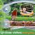 Window Bird Feeder with Strong Suction Cups - (Upgraded 2026 Model) Clear Acrylic Feeder Window for Cats Bird House Gift