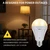 MXhme Rechargeable Light Bulbs with Remote Control Soft Warm(3000K) 2200mAh Dimmable Battery Operated Light Bulb 50 Watt Equivalent,2 Pack