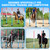 Motionchic 6 Pcs 6ft Pole Bending Poles for Horses, Heavy Duty Agility Poles Adjustable Height Equestrian Sports Training Equipment with Weighted Rubber Base for Horses, Soccer, Football, Dog
