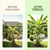 Banana Tree Fertilizer, Liquid Plant Food for Healthy Growth, 32 oz