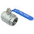 DAN SPEED 2" NPT Female 316 Stainless Steel Full Port Ball Valve Vinyl Handle WOG1000 (2 inch 2pcs)
