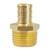 Hooshing 10PCS Pex Fitting 3/4" Male NPT to 1/2" Pex Male Adapter