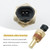 Lidscura Differential Oil Temperature Sensor 5055401 Connector Pigtail Plug Replacement for Peterbilt 379 Kenworth T660 T800 T600A 1987-2007 (1)