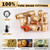 CheeMuii 76 Pcs Brass DOT Air Line Fittings Kit DOT Push to Connect Fitting