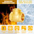 2-1/2" NPT Horizontal Swing Check Valve Brass Heavy-Duty Female Thread DN65