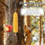 Zliiesns Upgraded 304 Stainless Steel Hanging Squirrel Feeder Outside, Durable Squirrel Feeders for Outdoors, Chipmunk Feeder, Squirrel Food for Backyard Squirrels Hold Corn, Corn Cob(32Inch-2Rod)