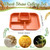 Pinkunn 8 Pcs 10" Divided Plates Wheat Straw, Orange, Yellow, Green, Blue