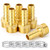 ChillWaves Brass Air Hose Fittings, Hose Barb Fittings 3/4" Barb x 1/2" NPT Male Thread Adapter with Hose Clamp(6-PACK)