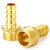 ChillWaves Brass Air Hose Fittings, Hose Barb Fittings 3/4" Barb x 1/2" NPT Male Thread Adapter with Hose Clamp(6-PACK)