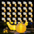 24 Pack Mini LED Lights for Paper Lanterns, Warm White Hanging Lights