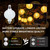 24 Pack Mini LED Lights for Paper Lanterns, Warm White Hanging Lights