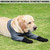 yrenoer Dog Socks & Boots - Waterproof Anti-Licking Paw Protectors with Non-Slip Bottom, Post-Surgery Recovery Sleeves for Wound Protection (Grey, L)