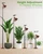 yadoker Plant Grow Light for Indoor Plant, Walnut Wood Grain LED Grow Light,Elevating Plant Lamp,Height Adjustable,Automatic Timer with 8/12/18Hours,10-Level Brightness,Ideal for Large Plant Grow