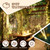 9.8x19.6Ft Curtain String Lights Plug in,600 Warm White LED Curtain Lights with Remote,Timer,Memory,Waterproof Clear Wire for Indoor Outdoor Bedroom Window Decor