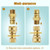Rushare 1/2 Inch Natural Gas Quick Connect Fitting (2 Pcs)