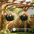 zople 12" Self Watering Hanging Planters with Chains, Black, 2 Pack
