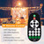 Outdoor Dimmer Switch for String Lights, 1000W Max Power IP68 Waterproof Wireless RF Remote Control Timer Switch, 3 Prong Outlet Plug-in Dimmer for Dimmable LED String Lights Patio Lights