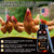 E and S Poultry Vitality Formula | Selenium for Chickens and All Poultry | Nutrient Support Liquid for Energy Balance and Mobility | Feed Mix Additive for Healthy Growth