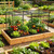 Crop Cages for Garden, Large Chicken Wire Crop Cage for Raised Garden Bed