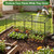 Crop Cages for Garden, Large Chicken Wire Crop Cage for Raised Garden Bed