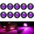 KEING 10 Pack Sealed Waterproof Mini Round 3/4 Inch Purple LED Marker Lights Signal Light 12V for Trailer Truck Bus Pickup Van ATV RV Lorry Caravan, 5 Years Warranty
