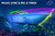 ROLiGHTiC Marine Submersible Boat LED Strip Lights, 50FT IP68 Waterproof