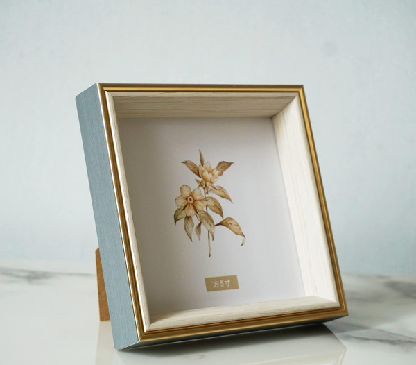 PLUSCHEN 5x5 Blue Beige Square Picture Frame, 5x5 Resin Photo Frame, Wall and Desktop Display Picture Frame, Plexiglass