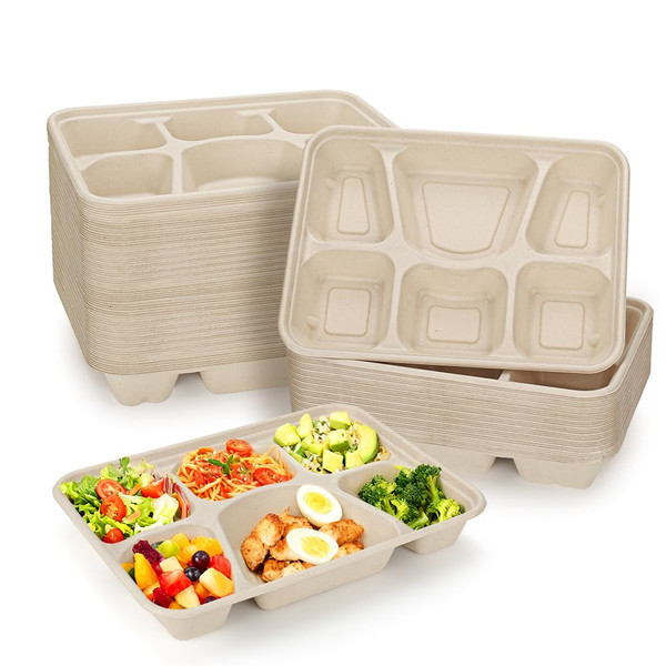 25 Pack 6 Compartment Disposable Paper Plates, Compostable Bagasse School Lunch Tray, Biodegradable Sugarcane Food Sectional Plates, Heavy-Duty Divided Platter Tray for Buffet Party, Microwave Safe