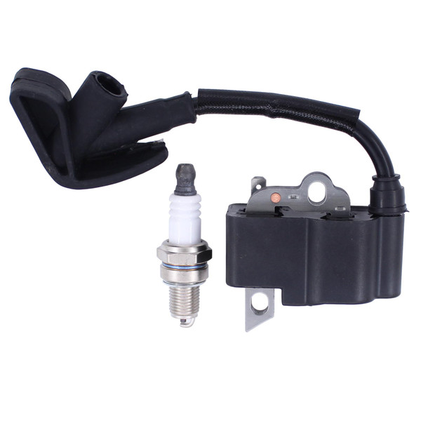 ApplianPar Ignition Module and Spark Plug Kit