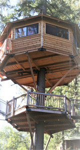 20' Single Tree Octagon Treehouse plans 