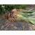 Product thumbnail view 3