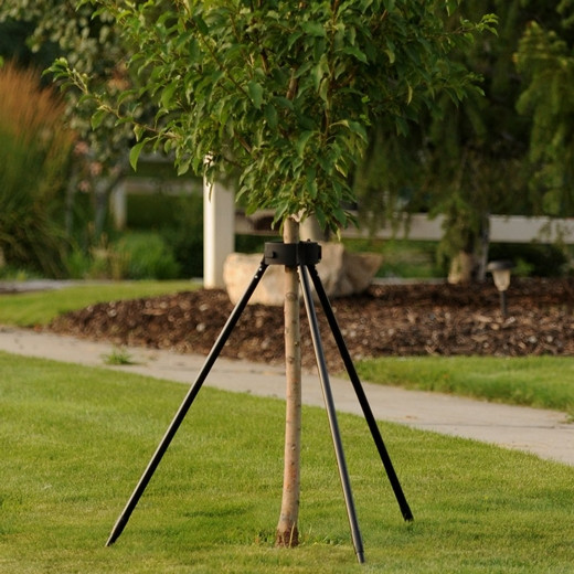 Kradl Tripod Tree Staking System