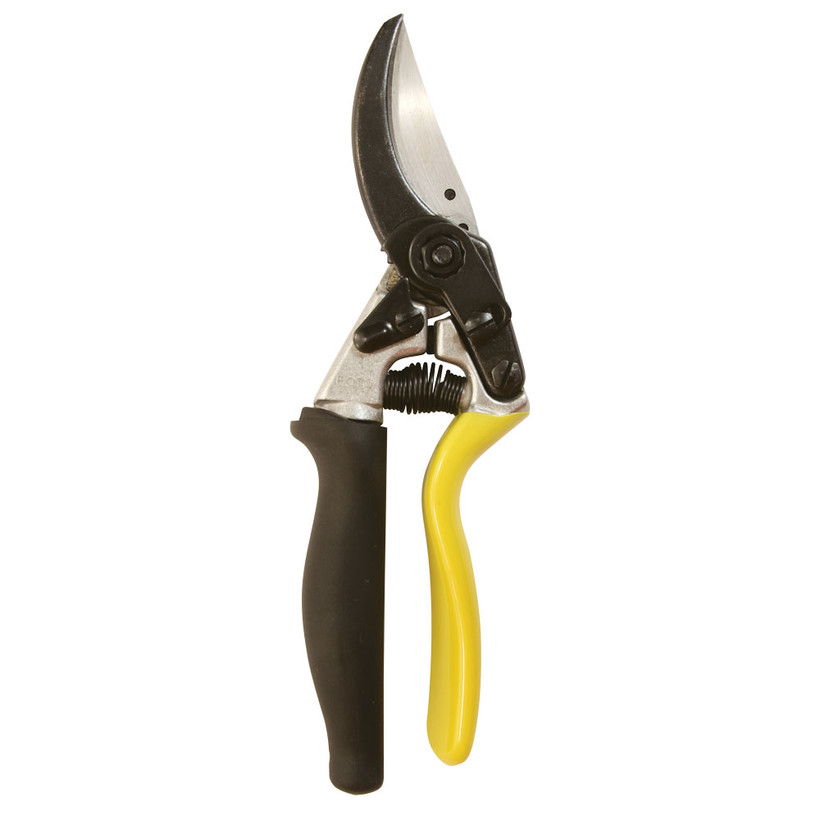 Roto Leyat Hand Pruner